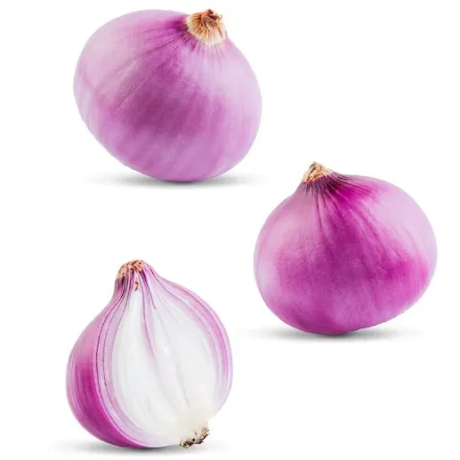 Onion